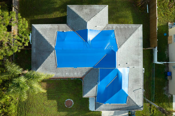 Best Roof Insulation Installation  in Great Neck Plaza, NY