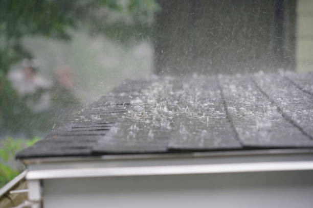 Professional Roofing Service in Great Neck Plaza, NY