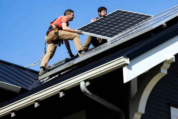 Best Roof Moss and Algae Removal  in Great Neck Plaza, NY
